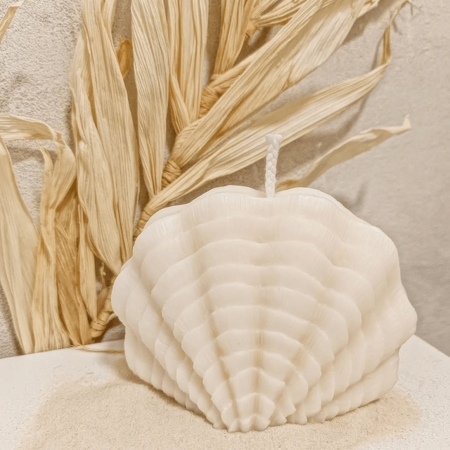 Bougie Shell