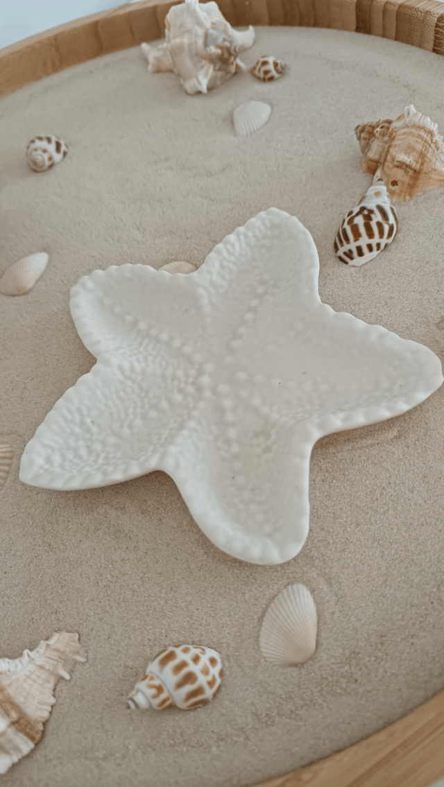 Vide poche étoile de mer
